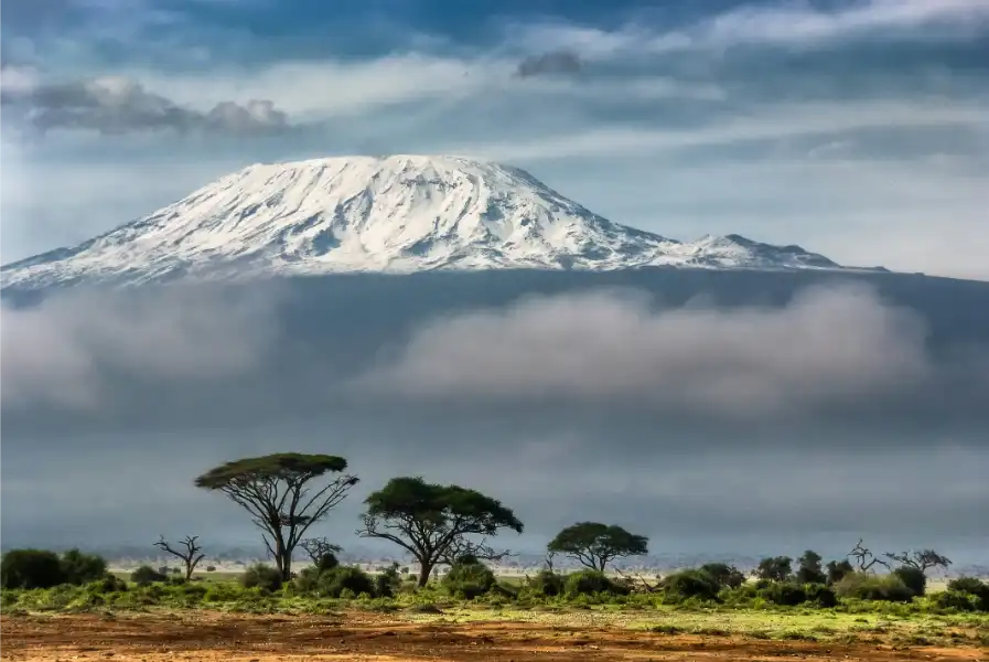 Amboseli Romance & Kili Views