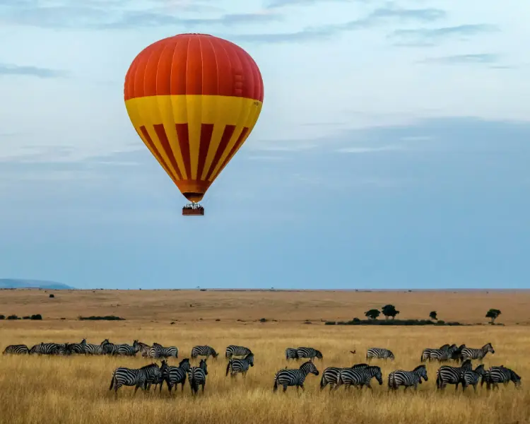 Balloon Safari for Two