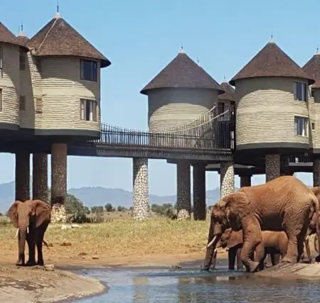 Rhino Sanctuary & Scenic Hills